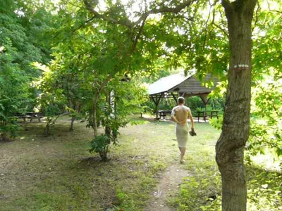 jc83170 avatar